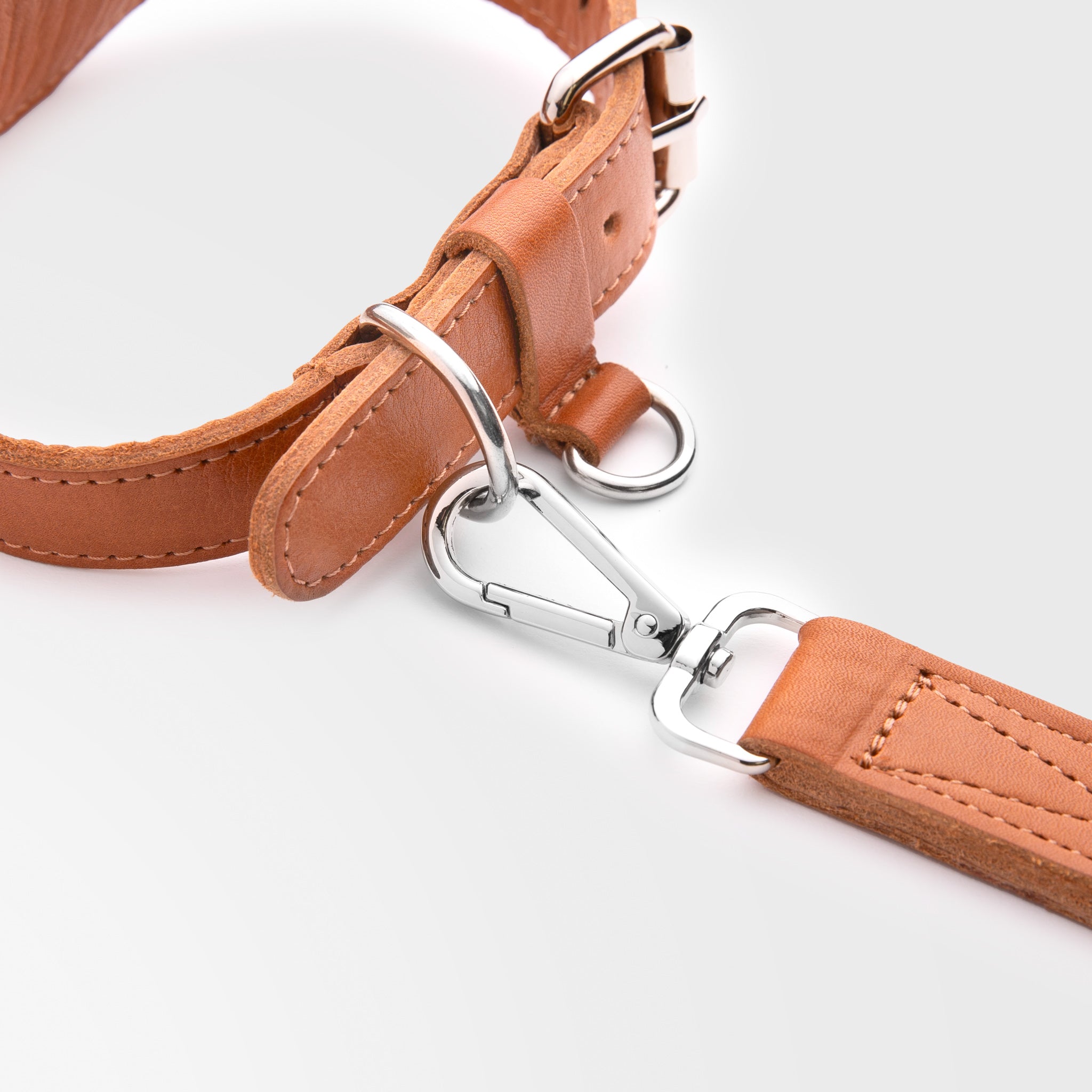 Walden® Collar y Correa Pet de Cuero Genuino · Terra