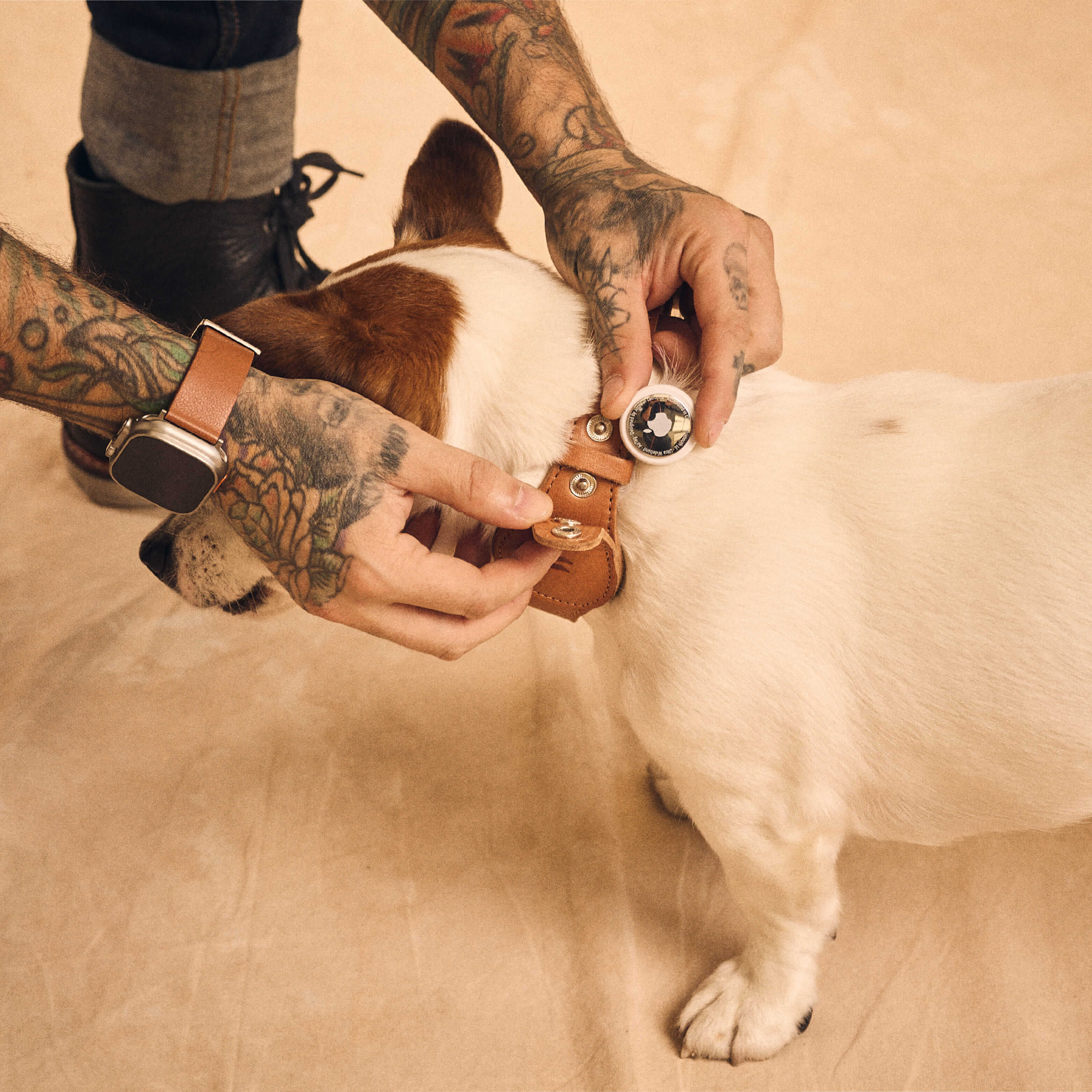 Walden® Collar y Correa Pet de Cuero Genuino · Terra