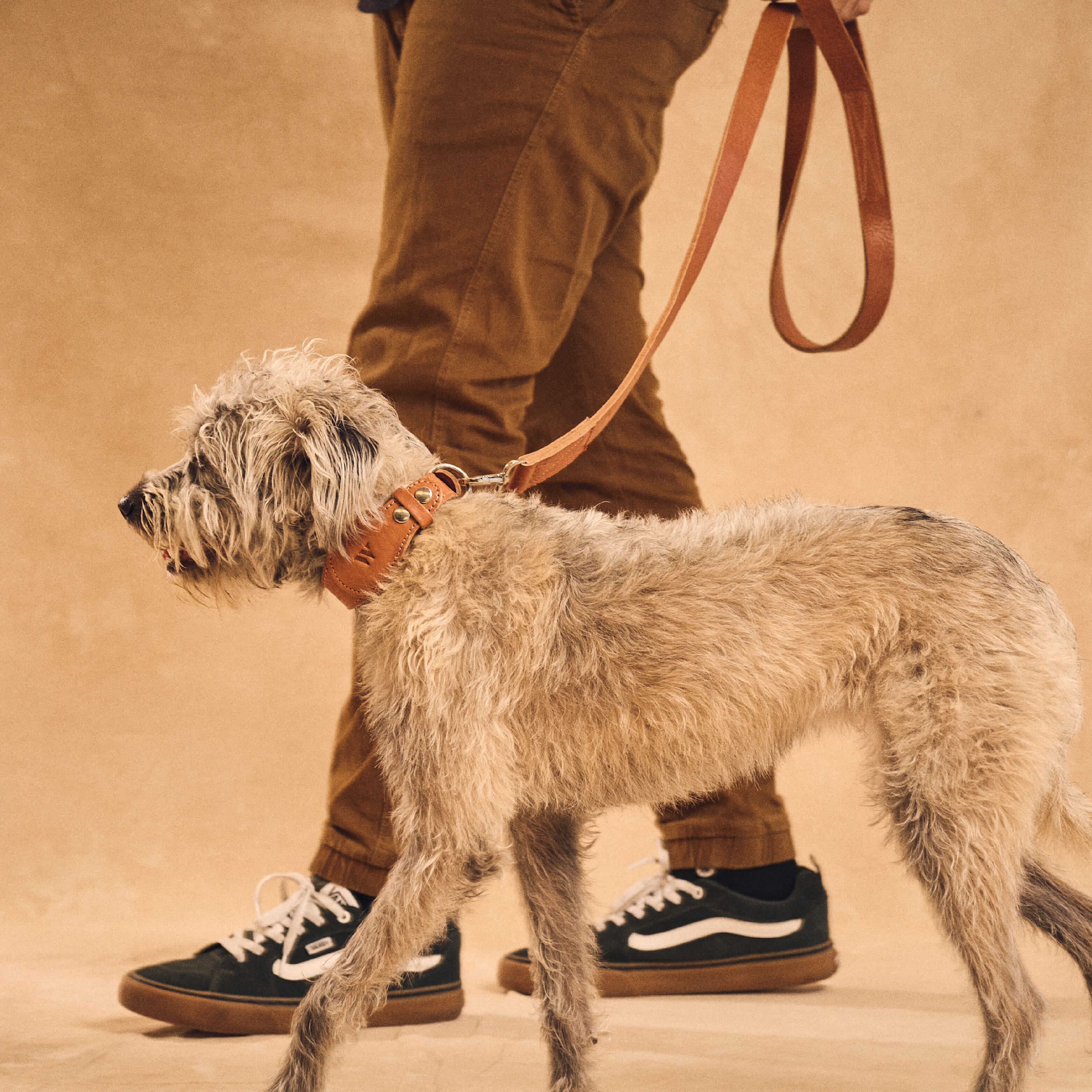 Walden® Collar y Correa Pet de Cuero Genuino · Terra